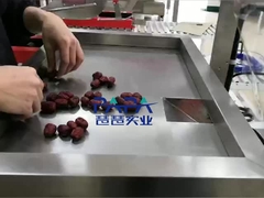 κατακόρυφη συσκευασία τροφίμων CP01