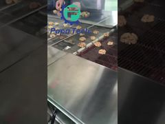 καρύδι με επικάλυψη σοκολάτας