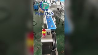 γραμμή παραγωγής μπάλας πρωτεΐνης βρώμης