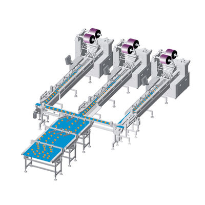 Καλή τιμή Automatic Flow Pack Packaging Machine - Complete Line for Bakery Foods, Swiss Rolls & Cube Cakes σε απευθείας σύνδεση