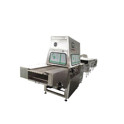 Καλή τιμή 220V/380V 50/60Hz Chocolate Enrober Machine with 200-300 kg per Hour Capacity for Wafer Cookies & Biscuits σε απευθείας σύνδεση